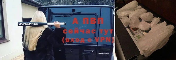 стаф Балахна