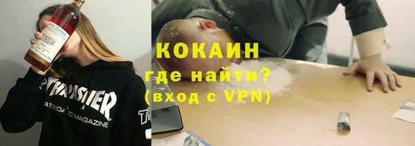 стаф Балахна