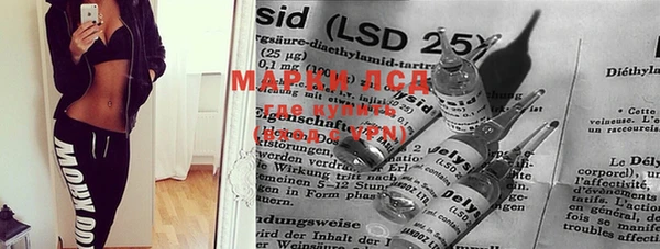 мяу мяу мука Баксан
