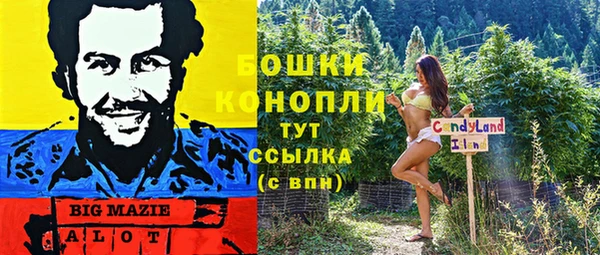 стаф Балахна